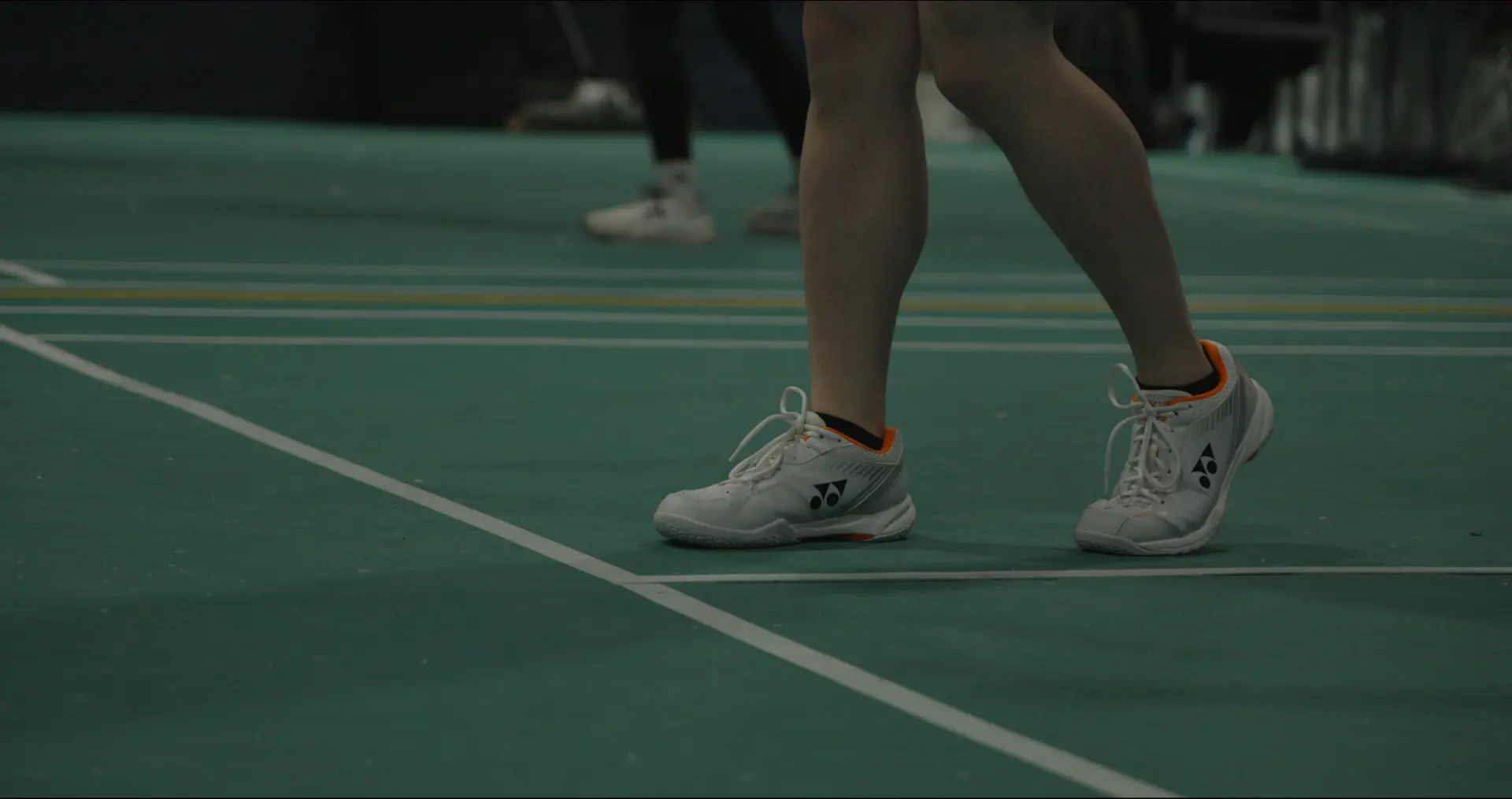 Professional-grade courts & lighting